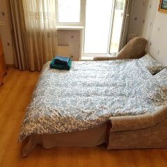 Гостиница DeLuxe Apartment Grina 34 в Москве отзывы, цены и фото номеров - забронировать гостиницу DeLuxe Apartment Grina 34 онлайн Москва комната для гостей фото 4