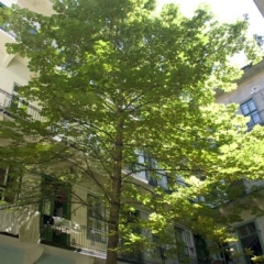 Отель Budapest Easy Flat Oktogon Будапешт