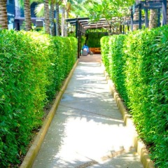 Aranta Airport Hotel фото 13
