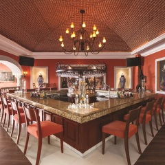 Отель Hilton Playa Del Carmen гостиничный бар фото 3