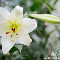 Отель Peking Garden Hotel Китай, Пекин - отзывы, цены и фото номеров - забронировать отель Peking Garden Hotel онлайн фото 3