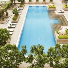 Jaipur Marriott Hotel с домашними животными