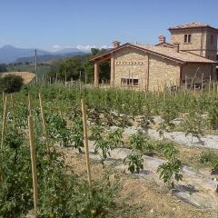 Отель Agriturismo Il Filare Невьяно-дельи-Ардуини фото 2