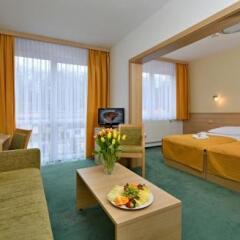 Отель Parkhotel Hluboka Nad Vltavou Глубока-над-Влтавой комната для гостей фото 5