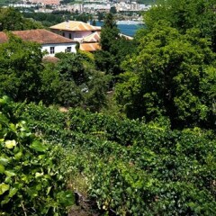Отель Villa With 3 Bedrooms in Lamego, With Wonderful Mountain View, Private фото 11