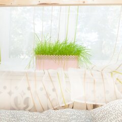 Гостиница Hostels Rus Sukharevskaya Ploshchad пляж