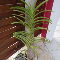 Отель Bungalow With one Bedroom in Guadeloupe, With Pool Access, Enclosed Ga интерьер отеля