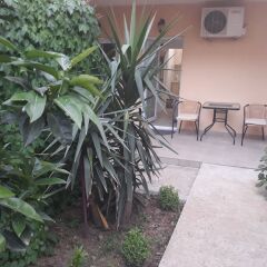 Отель Radovic apartments Черногория, Будва - отзывы, цены и фото номеров - забронировать отель Radovic apartments онлайн фото 2