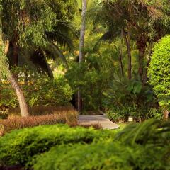 Отель Holiday Inn Resort Phuket Mai Khao Beach пляж Май Кхао фото 2