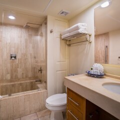 Отель Villa del Palmar Beach Resort & Spa Cabo San Lucas ванная