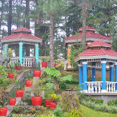 Отель Elizabeth - Baguio Филиппины, Багуйо - отзывы, цены и фото номеров - забронировать отель Elizabeth - Baguio онлайн фото 5