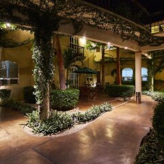 Отель San Angel Suites Педрегал фото 10
