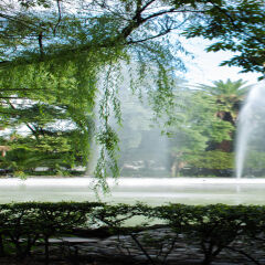 Отель Parque Mexico Мехико фото 7