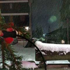 Hotel Jolanda Sport