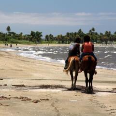 Отель Travellers Beach Resort с домашними животными