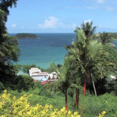 Отель Andaman Cannacia Resort & Spa Таиланд, пляж Ката - 1 отзыв об отеле, цены и фото номеров - забронировать отель Andaman Cannacia Resort & Spa онлайн приотельная территория