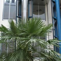 Отель SOL Marina Palace Болгария, Несебр - отзывы, цены и фото номеров - забронировать отель SOL Marina Palace онлайн фото 5