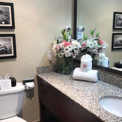 Comfort Inn South in Medford, United States of America from 139$, photos, reviews - zenhotels.com bathroom photo 2