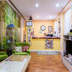 Отель Hostal Pensio 2000 спа
