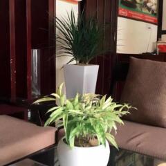 Отель Victory Hotel Hue Вьетнам, Хюэ - отзывы, цены и фото номеров - забронировать отель Victory Hotel Hue онлайн фото 2