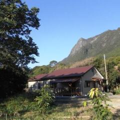 Отель Guesthouse Yakushima Якусима фото 3