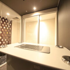Отель Richmond Hotel Tokyo Suidobashi Япония, Токио - отзывы, цены и фото номеров - забронировать отель Richmond Hotel Tokyo Suidobashi онлайн сауна