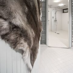 Отель Holiday Inn Oulu с домашними животными