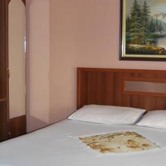 Отель Alpin Hotel Tirana Албания, Тирана - отзывы, цены и фото номеров - забронировать отель Alpin Hotel Tirana онлайн в номере