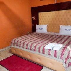 Abidap Hotel and Suites International комната для гостей