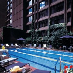 Отель Omni Mont-Royal Канада, Монреаль - отзывы, цены и фото номеров - забронировать отель Omni Mont-Royal онлайн с домашними животными