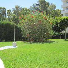 Отель Fan Flat Torremolinos Торремолинос фото 3