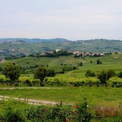 Отель Villa Gaia Италия, Сан-Мартино-Сиккомарио - отзывы, цены и фото номеров - забронировать отель Villa Gaia онлайн фото 2