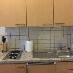 Отель United Homes Apartments Vienna Австрия, Вена - отзывы, цены и фото номеров - забронировать отель United Homes Apartments Vienna онлайн в номере
