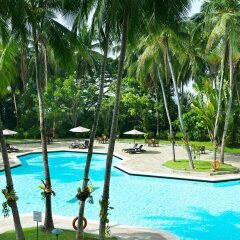 Отель Equatorial Penang Малайзия, Пенанг - отзывы, цены и фото номеров - забронировать отель Equatorial Penang онлайн с домашними животными