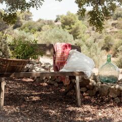 Отель Agroturisme Perola - Adults Only фото 12