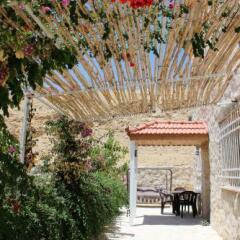 Отель Petra Bed & Breakfast Иордания, Вади-Муса - отзывы, цены и фото номеров - забронировать отель Petra Bed & Breakfast онлайн фото 9