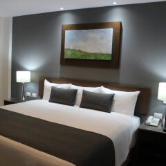Eco Hotel Guadalajara Expo комната для гостей фото 3