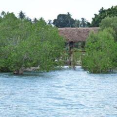 Pemba Misali Sunset Beach in Pemba Island, Tanzania from 149$, photos, reviews - zenhotels.com outdoors photo 2