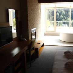 Abant Aden Boutique Hotel & Spa Турция, Болу - отзывы, цены и фото номеров - забронировать отель Abant Aden Boutique Hotel & Spa онлайн удобства в номере фото 2