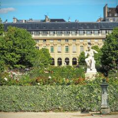 Отель Louvre Elegant ChicSuites фото 8