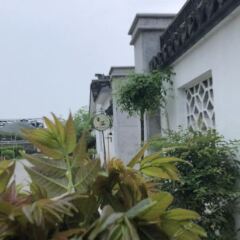 Отель Xiangyi Farmhouse фото 2