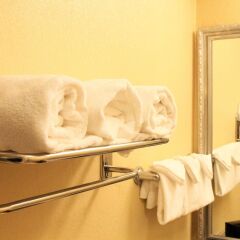 Отель Best Western Auburn/Opelika Inn США, Опелика - отзывы, цены и фото номеров - забронировать отель Best Western Auburn/Opelika Inn онлайн ванная фото 2