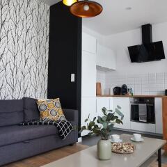 Отель Poznanska Urban Style Studio Польша, Варшава - отзывы, цены и фото номеров - забронировать отель Poznanska Urban Style Studio онлайн комната для гостей фото 4