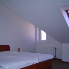 Hotel U Sládků комната для гостей фото 4
