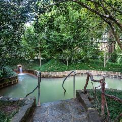Terra Nostra Garden Hotel бассейн фото 2
