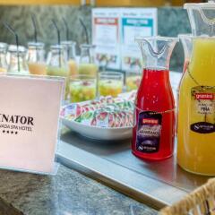 Senator Granada Spa Hotel удобства в номере