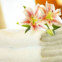 Eden Garden Hotel удобства в номере