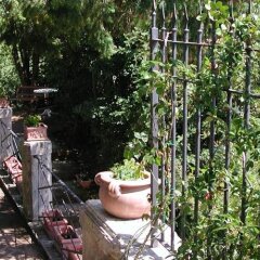 Отель Fonte Del Castagno Синалунга фото 14