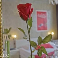 Отель Berlin Cribs Mitte Германия, Берлин - отзывы, цены и фото номеров - забронировать отель Berlin Cribs Mitte онлайн фото 7