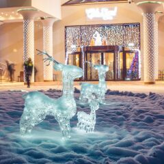 Гостиница Hilton Garden Inn Moscow Новая Рига с домашними животными